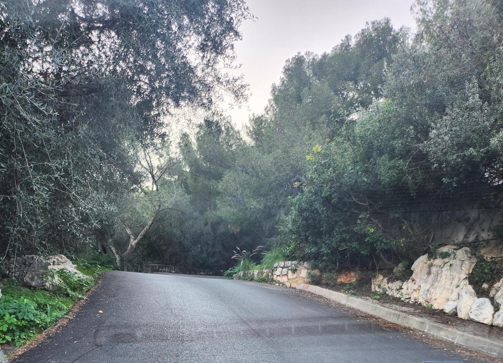 Le Mas D'Angeline, Vue Mer, Jardin Commun, Parking, Voiture Requise, 10 Min En Voiture De Monaco, Route Etroite, Pente Raide, Croisement Limite, Sea View, Shared Garden, Parking, Car Required, 10 Min Drive From Monaco, Narrow Steep Road, Limited Pass Beausoleil Exterior photo