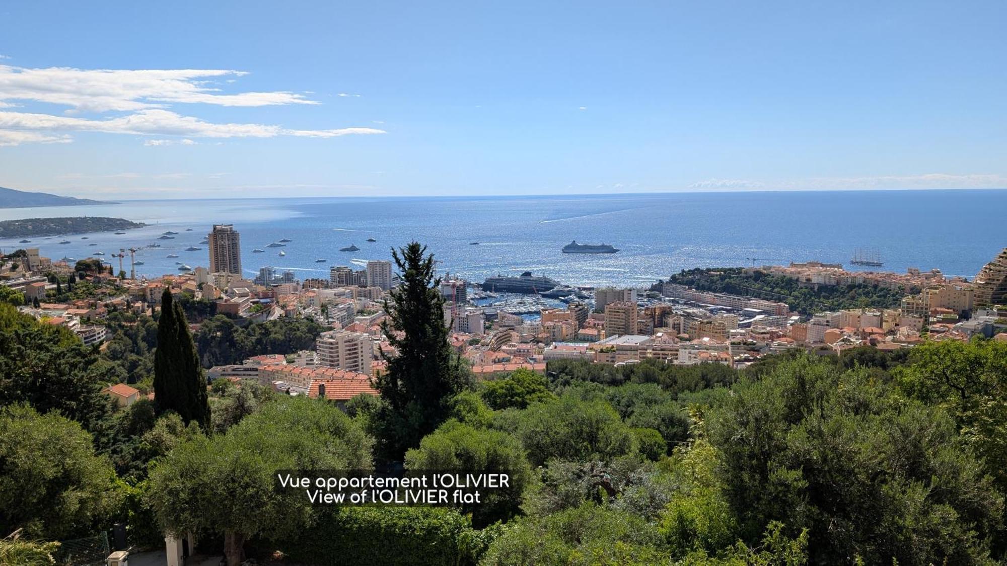 Le Mas D'Angeline, Vue Mer, Jardin Commun, Parking, Voiture Requise, 10 Min En Voiture De Monaco, Route Etroite, Pente Raide, Croisement Limite, Sea View, Shared Garden, Parking, Car Required, 10 Min Drive From Monaco, Narrow Steep Road, Limited Pass Beausoleil Exterior photo